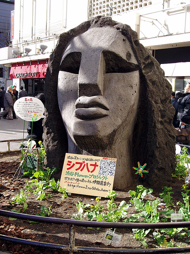 sample-image